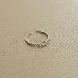 ANILLO ACERO A251