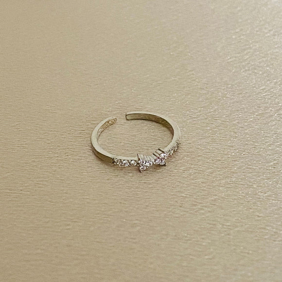 ANILLO ACERO A251