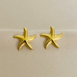 ARETES ROCK 970