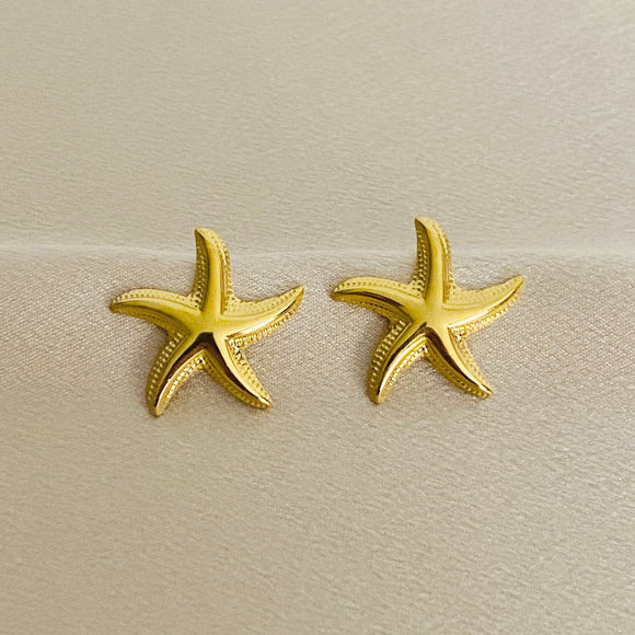 ARETES ROCK 970