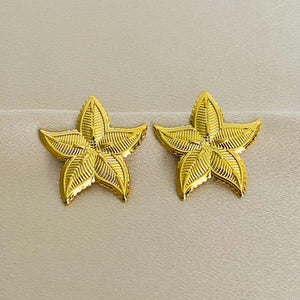 ARETES ROCK 973
