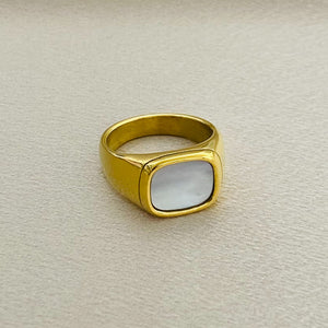 ANILLO ACERO A255