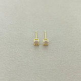 STUDS - S99