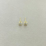 STUDS - S99