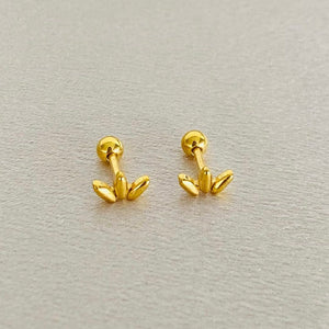 ARETES ORTOPÉDICOS Q251