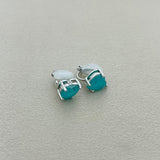 STUDS - S109 (ARETES DE PRESIÓN)